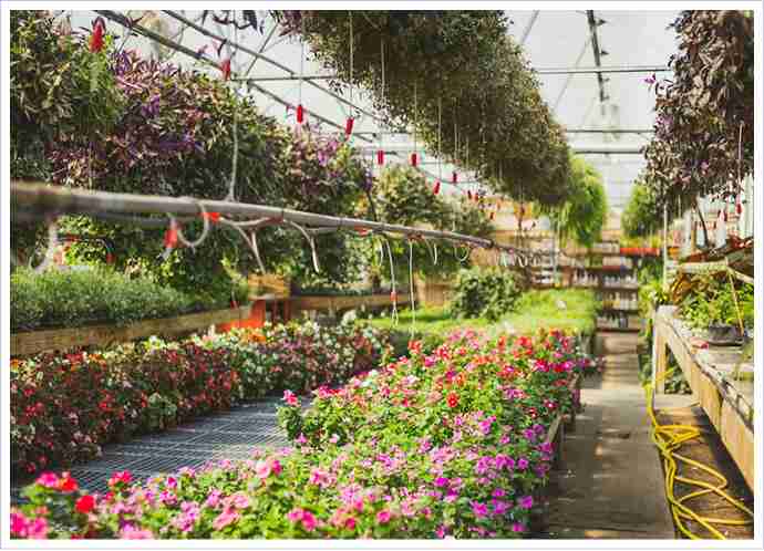 greenhouse bench applications for nurseries flowers and research