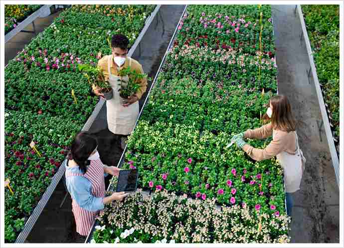 greenhouse bench applications for nurseries flowers and research