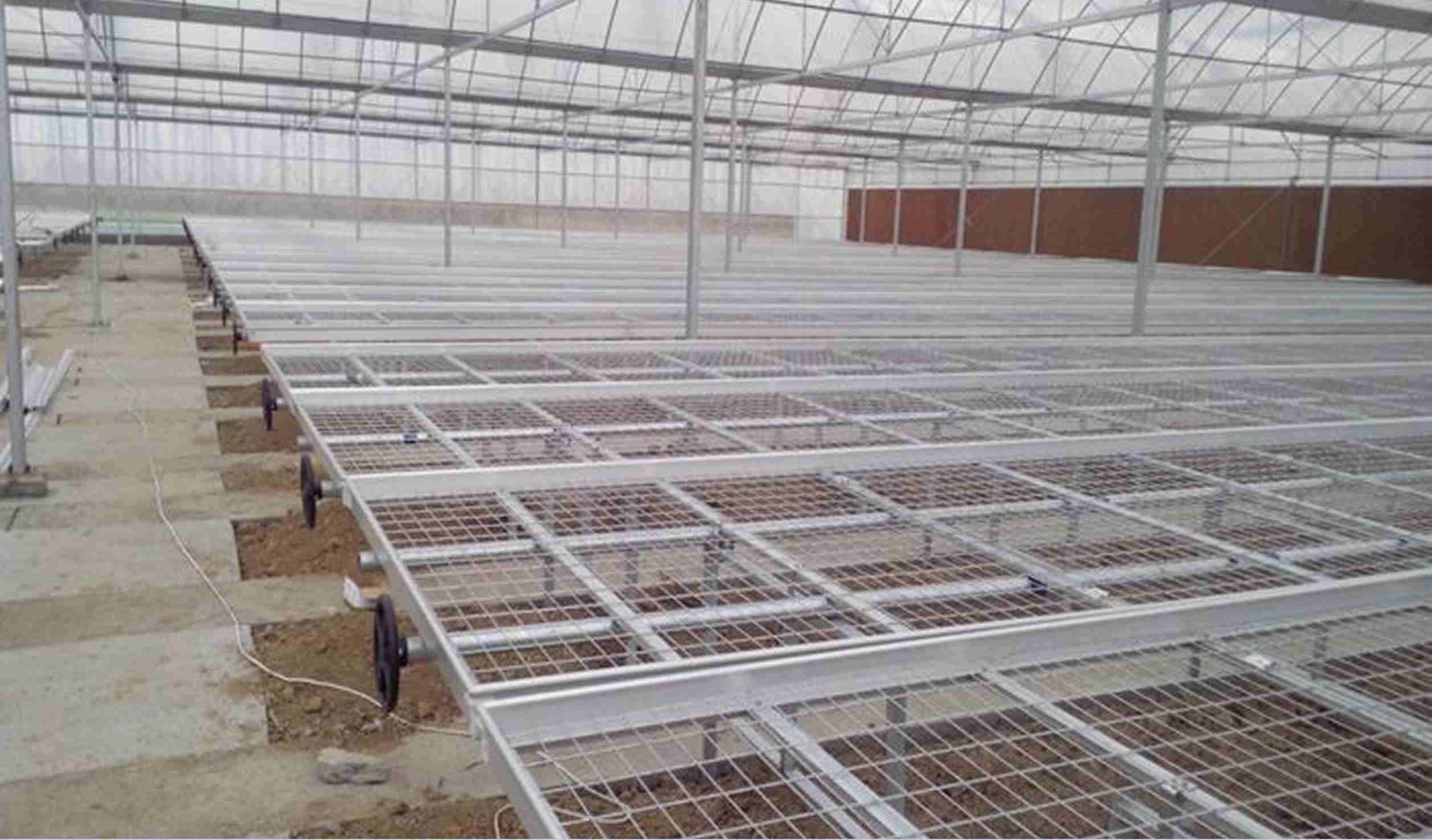 greenhouse seedling bench system for young plant production