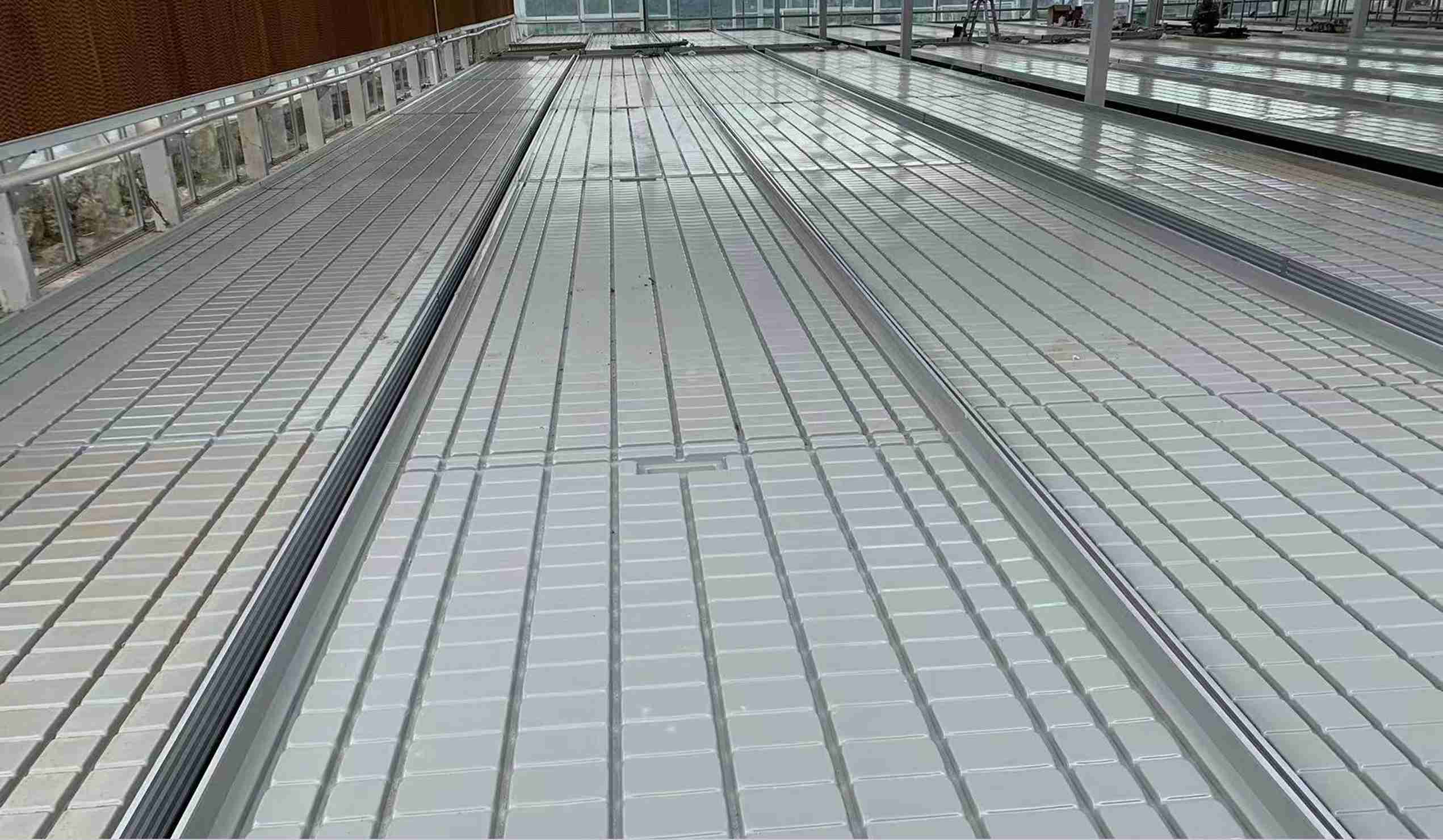 greenhouse seedling bench system for young plant production