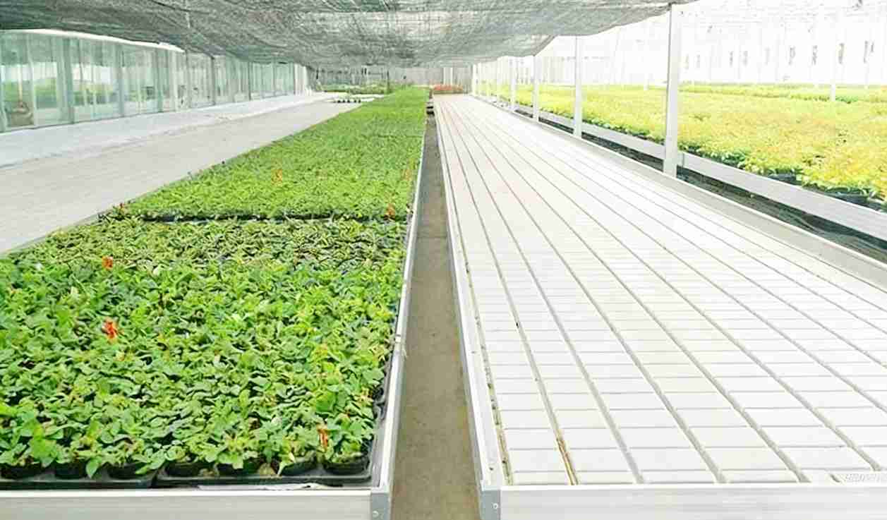 ebb and flow greenhouse bench irrigation system